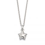 Eva Plain Small Star Pendant and Chain (LSN0021)