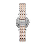 Carlie Mini Two-Tone Ladies Watch (ES4649)