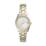 Fossil Scarlette Mini Three-Hand Date Two-Tone Stainless Steel Watch (ES4319)