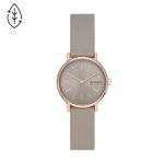 Skagen Signatur Lilly Stainless Steel Watch (SKW3060)