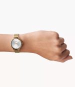 SKAGEN Anita Lille Gold-Tone Steel Mesh Watch (SKW2150)