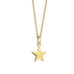 Newbridge Silverware Pendant with Star (P3001SR)